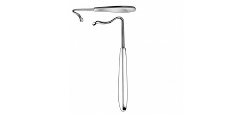 Dental cheek and lip Retractor