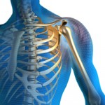 Orthopedics