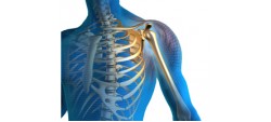 Orthopedics