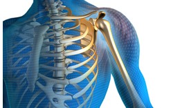 Orthopedic Surgical Instruments: Complete Buying Guide for Hospitals and Institutions