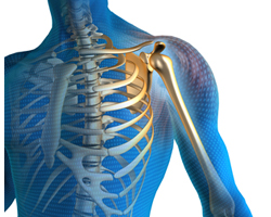 Orthopedic Surgical Instruments: Complete Buying Guide for Hospitals and Institutions
