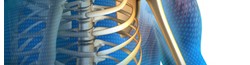 Orthopedic Surgical Instruments: Complete Buying Guide for Hospitals and Institutions
