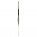 Standard Dissecting Forceps Serrated 25 cm