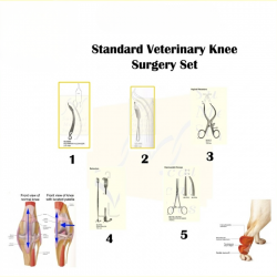 Standard Veterinary Knee Surgery Set | Surgical Direct  (With Purchase of Each Set, Get 1 FREE Compartment tray)