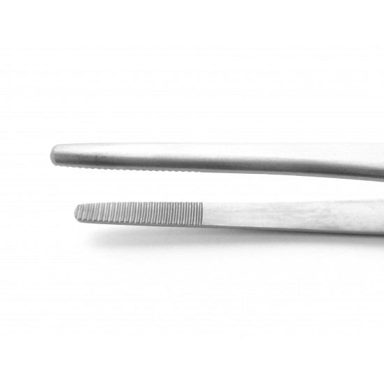 Standard Dissecting Forceps Serrated 16 cm Stainless Steel