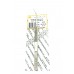 Delicate Dissecting Forceps Angled Tips 200 mm