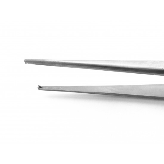 Semken Forceps (1x2 teeth) 12.5 cm