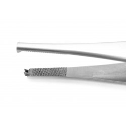 Lane Tissue Forceps (2x3 teeth) 15 cm