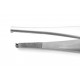 Lane Tissue Forceps (2x3 teeth) 15 cm
