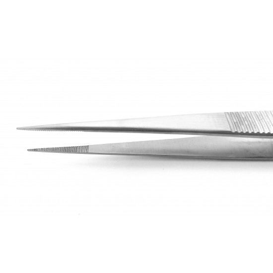 Semken Dissecting Forceps Serrated 15 cm