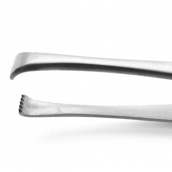 Tissue Forceps (5x6 teeth) 11.5 cm