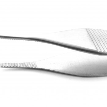 Adson Delicate Dissecting Forceps Straight Serrated 12 cm