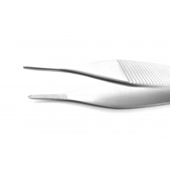 Adson Delicate Dissecting Forceps Straight Serrated 12 cm