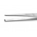 Standard Tissue Forceps 1x2 teeth 13 cm