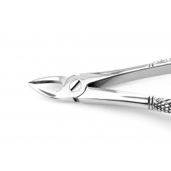 Dental Extracting English upper root for children Figure 30 S