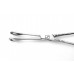 Forester Sponge Forceps straight serrated 180 mm