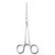 Rampley Sponge Holding Forceps 24 cm
