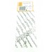 Female Catheters Metal 6fr