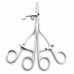 Lane Gastro Intestinal Forceps Curved 300 mm