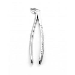 Dental Extracting Forceps English Lower Incisors and Canines For Children Figure 38