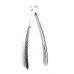 Dental Extracting Forceps English Lower Roots Figure 31