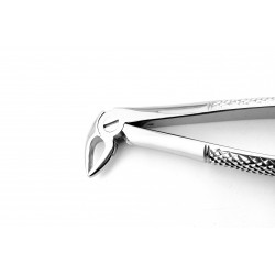 Dental Extracting Forceps English Lower Roots Figure 33 A