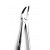 Dental Extracting Forceps English Pattern Lower Molar Figure 21