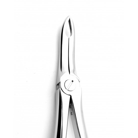 Dental Extracting Forceps English pattern lower roots Figure 48