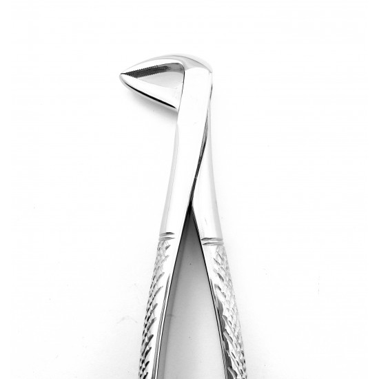 Dental Extracting Forceps Figure 137