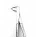 Dental Extracting Forceps Lower Canines Figure 143