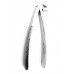 Dental Extracting Forceps Lower Molars Left Figure 24