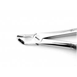 Dental Extracting Forceps Lower Third Molars Figure 79