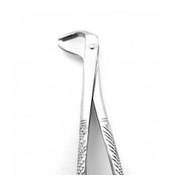 Dental Extracting Forceps Molars Right For Child Figure 73 R