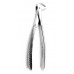 Dental Extracting Forceps Special English pattern Figure 75 L