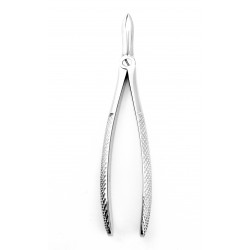 Dental Extracting Forceps Upper Root Figure 44